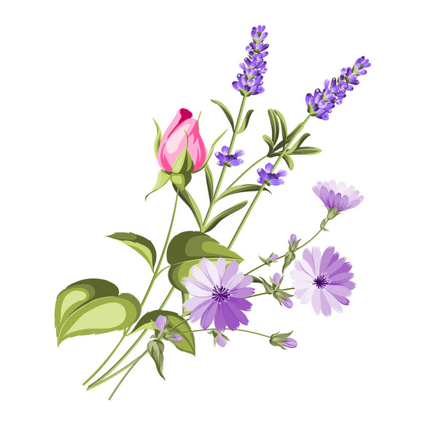 Label with lavender. - Vector, Image