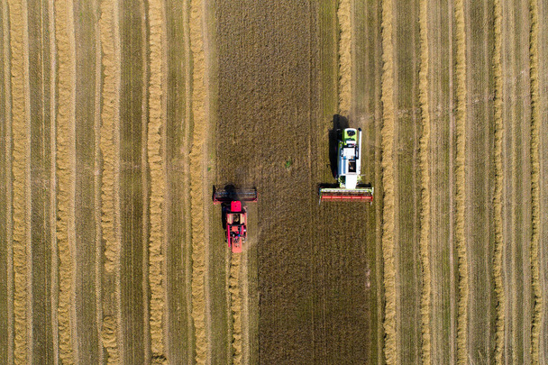 Raccolta di informazioni. Concetto di agricoltura dei biocarburanti. Due mietitrici che lavorano in campo vista aerea. Sullo sfondo agricolo
. - Foto, immagini