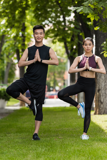 young asian sportsman and sportswoman standing in vrksasana (tree pose) and doing namaste gesture on grass in park - Zdjęcie, obraz