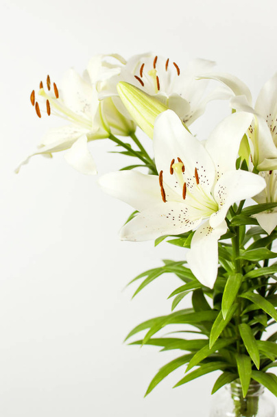 Ramo de lirios blancos aislados sobre un fondo blanco. Flores lirio hermoso ramo flores blancas fondo floral concepto vacaciones felicitación
 - Foto, Imagen