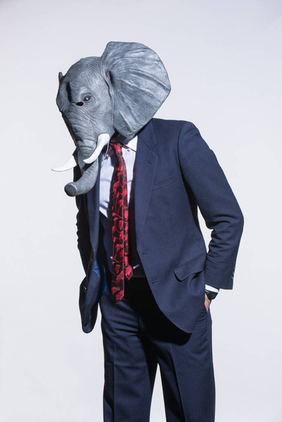 Человек в костюме и маска слона на светлом фоне. Концептуальный бизнес
 - Фото, изображение