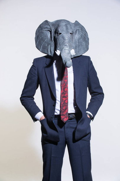 Чоловік у костюмі та маска для слонів на світлому тлі. Концептуальний бізнес фон
 - Фото, зображення