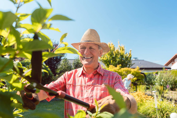 Portrét veselý aktivní starší muž ořezávání keřů v zahradě - Fotografie, Obrázek