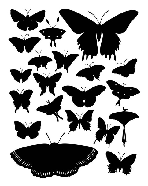  Silhouette of butterflies. Good use for symbol, logo, web icon, mascot, sign, or any design you want. - Vector, Image
