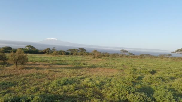 Landschaft in Kenia mit Kilimandscharo - Filmmaterial, Video