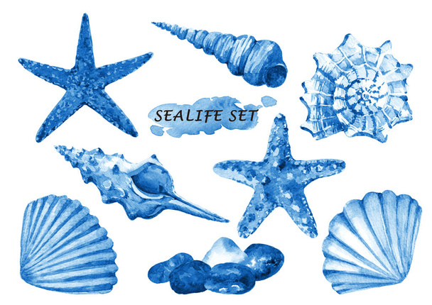 Aquarelle avec coquillages, étoiles de mer et pierres. Illustration dessinée à la main isolée sur fond blanc
. - Photo, image