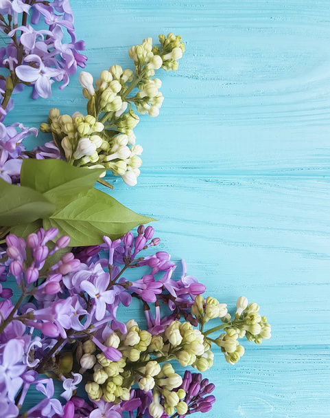 ramo di un fiore lilla su uno sfondo di legno azzurro, struttura
 - Foto, immagini