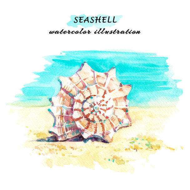 Hand drawn watercolor illustration of a seashell on sundy beach. Isolated on white background. - Photo, Image
