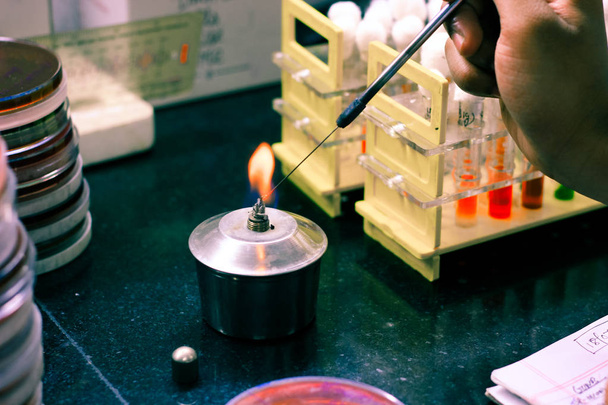 lazo de inoculación microbiológica que se calienta en una llama de lámpara de alcohol para la desinfección por esterilización en un laboratorio de microbiología
 - Foto, Imagen