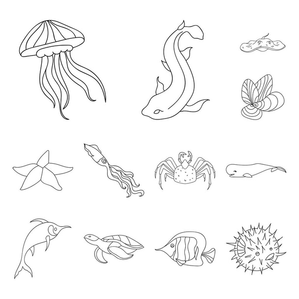 A variety of marine animals outline icons in set collection for design. Fish and shellfish vector symbol stock web illustration. - Вектор,изображение