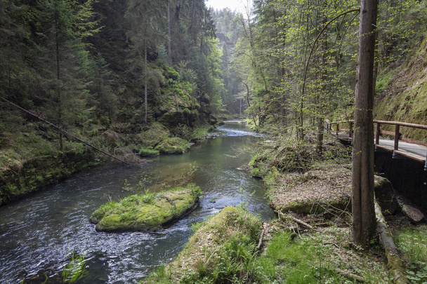 ヨーロッパ チェコ共和国でのハイキング - 写真・画像