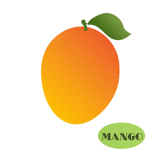 Summer fruits. Vector mango with dots. White background. - Vetor, Imagem