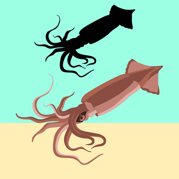 squid vector illustration flat style black silhouette  - Vector, Image