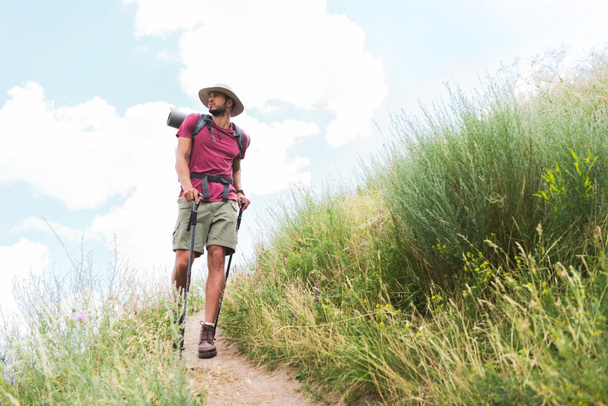 excursionista en sombrero con mochila y alfombra turística caminando por el camino
 - Foto, Imagen
