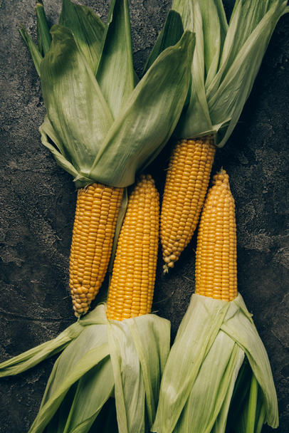 повышенный вид четырех кукурузных початков на сером темном столе
 - Фото, изображение