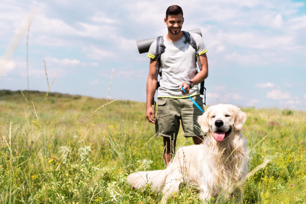 male traveler walking with golden retriever dog on summer meadow with cloudy sky - Φωτογραφία, εικόνα