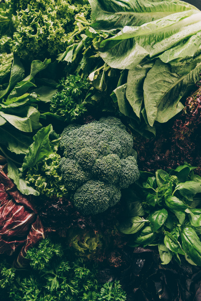 top view of broccoli and leafy vegetables and herbs on table - Fotografie, Obrázek