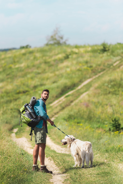 夏の畑にパス上のゴールデン ・ リトリーバー犬を連れて歩いて旅行者 - 写真・画像