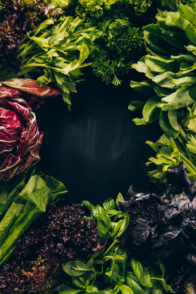 top view of different leafy vegetables and herbs on grey dark table - Photo, Image
