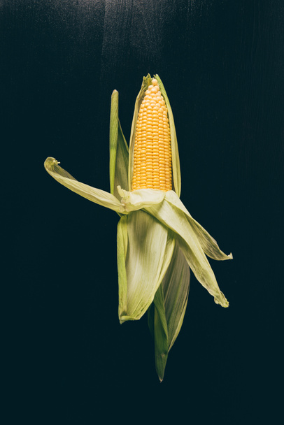 top view of one appetizing corn cob on grey dark table - Photo, Image