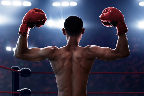 Boxer on the ring - Zdjęcie, obraz