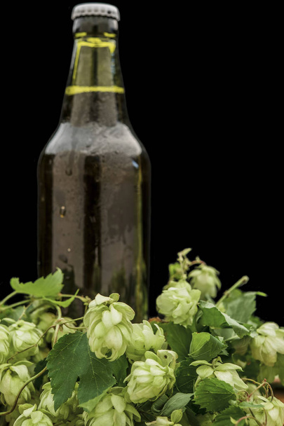 бутылка пива с хмелем на столе
 - Фото, изображение