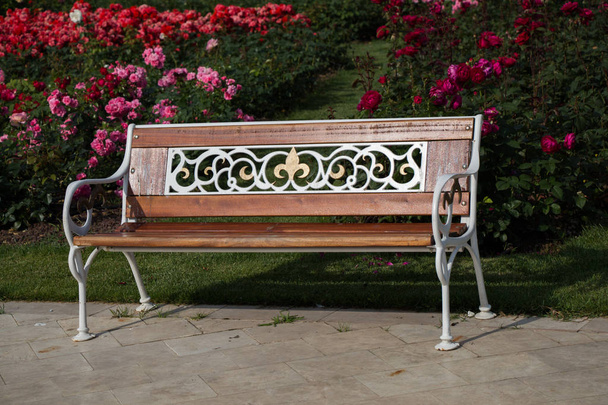 Деревянная скамейка, найденная посреди розового сада - Фото, изображение