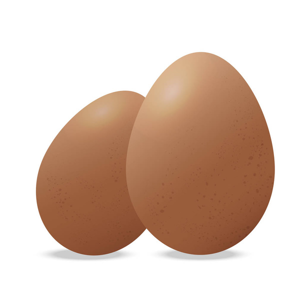iki tavuk yumurta vektör grafik beyaz arka plan üzerinde - Vektör, Görsel
