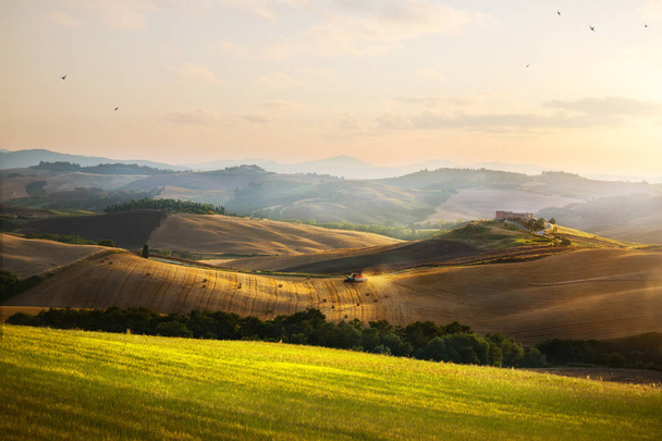 Itálie. Toskánsko zemědělské půdy a zvlněné kopce; letní krajina krajiny - Fotografie, Obrázek