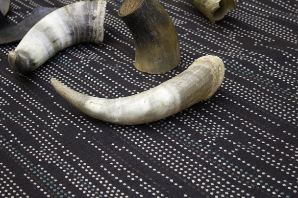 Geschnitzte Tierhörner aus Elfenbein, illegaler Verkauf, Säugetiere - Foto, Bild