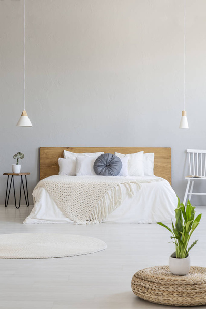 Plant on pouf in grey spacious bedroom interior with white chair next to bed. Real photo - Φωτογραφία, εικόνα