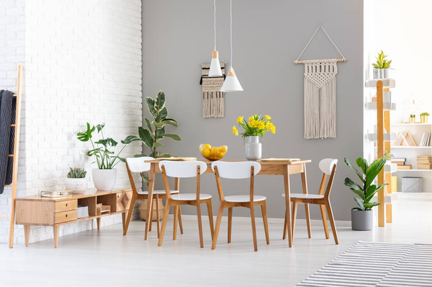 White chairs at wooden table with yellow flowers in dining room interior with plants. Real photo - Photo, Image