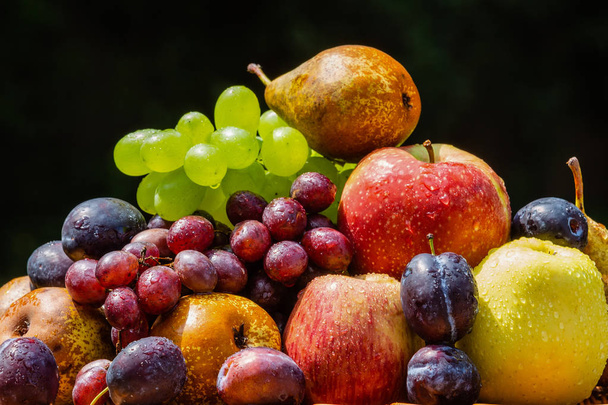 Colheita de frutas no final do verão maçãs, peras, ameixas e uvas
 - Foto, Imagem