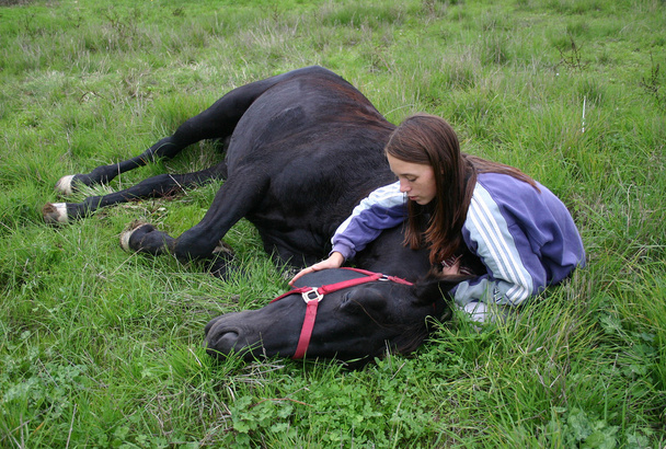 Кінь лежачи
 - Фото, зображення