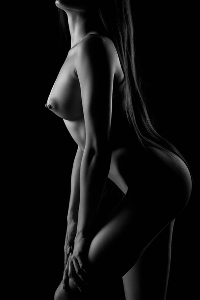 Naked sexy figure of female person, nu art. Nude woman, black and white silhouette of attractive girl, erotic seductive lady - Φωτογραφία, εικόνα
