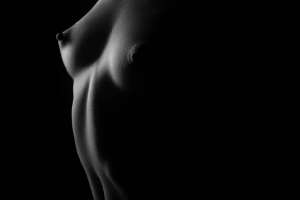 Donna nuda, silhouette sessuale, nu art, effetto ombra. Nudo ragazza attraente, erotico signora spogliata - Foto, immagini