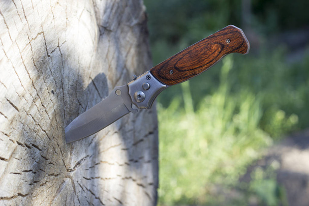 Folding knife stuck in a wooden log, close-up - Фото, изображение