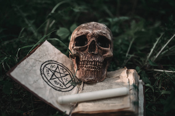 Opened black magic book with occult symbols and human skull on the grass in forest. Exorcism and supernatural rituals - Photo, Image