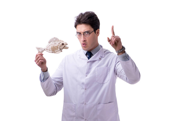 Engraçado professor louco paleontólogo estudando esqueletos animais i - Foto, Imagem
