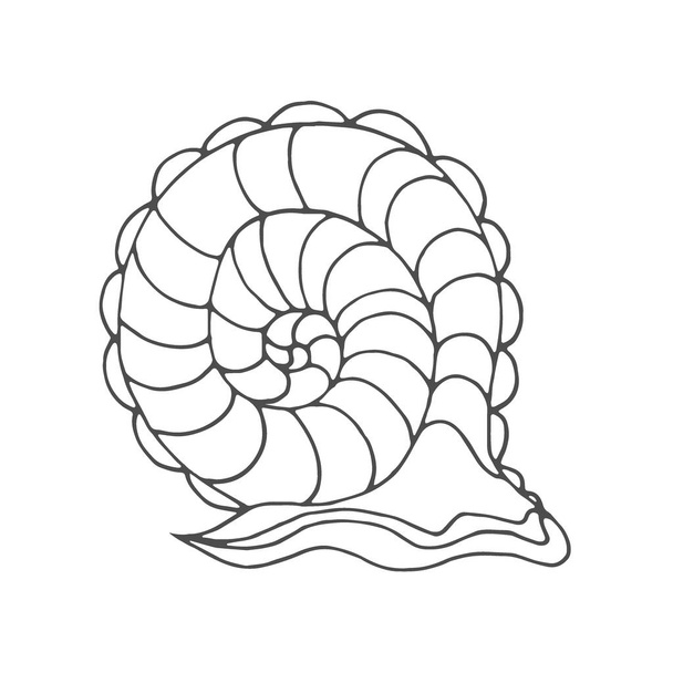 Snail coloring page for children and adults. Pattern isolated. Cartoon character helix decorative element. Vector hand drawn anti stress background. Funny doodle sketch style with a cochlea. - Vector, afbeelding