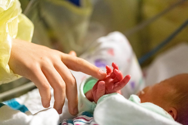 Niño tocando la mano de su nueva hermana bebé en el vivero del hospital
 - Foto, imagen
