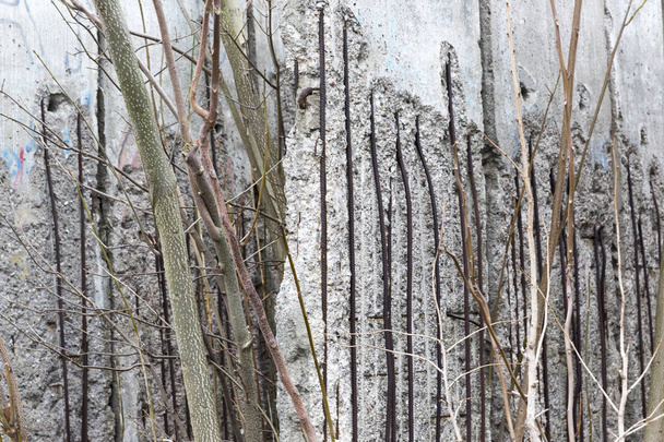 Vue latérale du mur de Berlin
. - Photo, image