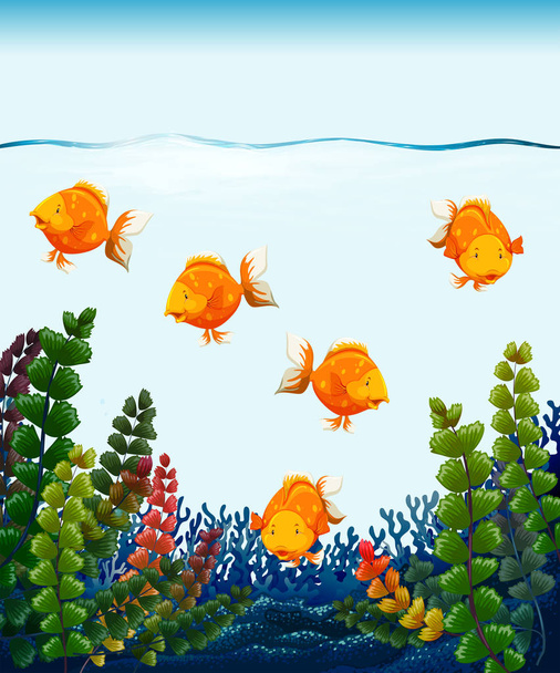 Detailní záběr zlaté rybky v nádrži ilustrace - Vektor, obrázek