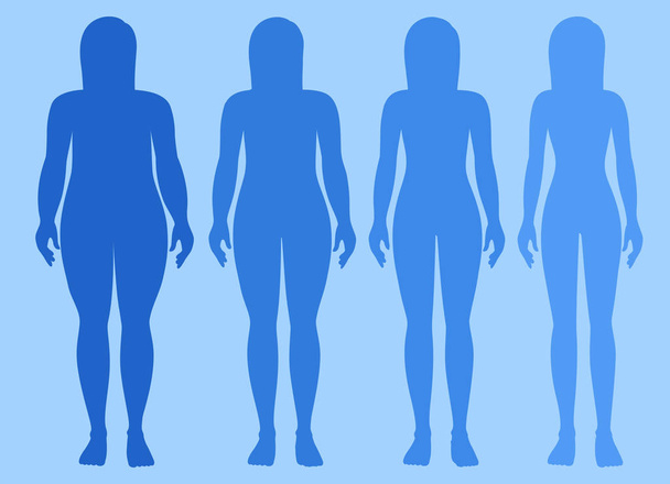 weiblicher Körper fettleibig bis dünn Illustration - Vektor, Bild