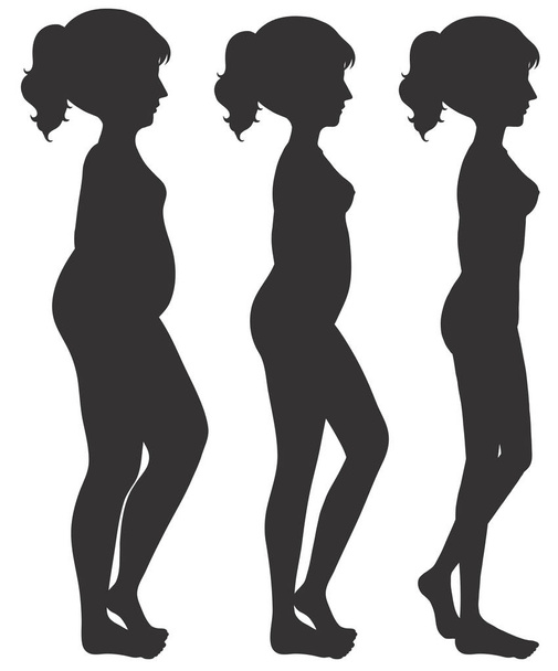 eine Reihe von Illustrationen zur Transformation des weiblichen Körpers - Vektor, Bild