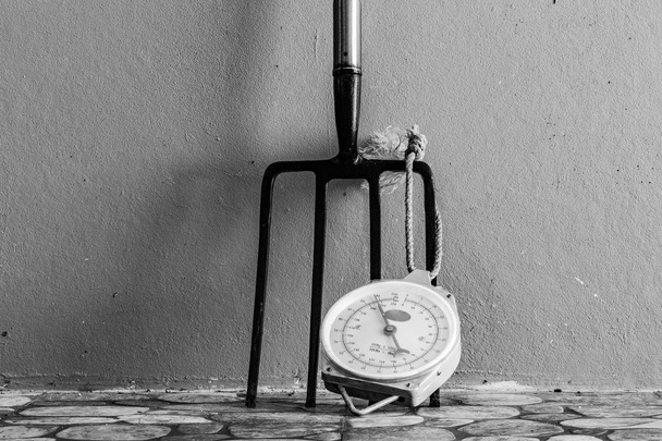 Metal Garden Digging Fork and Scale. Isolated. Copy space for text. - Photo, Image