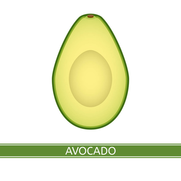 Avocado isolated on white - ベクター画像