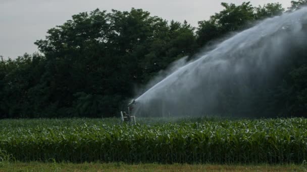 Large sprinkler irrigating fields in Italy - Footage, Video
