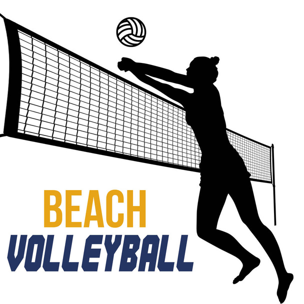 Silhouette of beach volleyball player on white background, vector illustration - Vector, Image