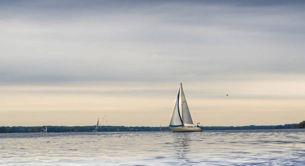 Yachts at sailing regatta on the river Dnieper. Sailing yacht race on cloudy sky background - Valokuva, kuva